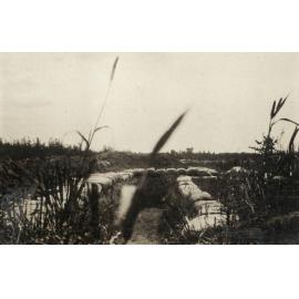 Photo from page 02 of album WWI Photograph Album  - Western Front