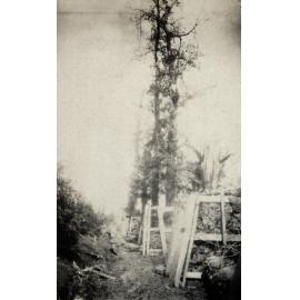 Photo from page 07 of album WWI Photograph Album  - Western Front