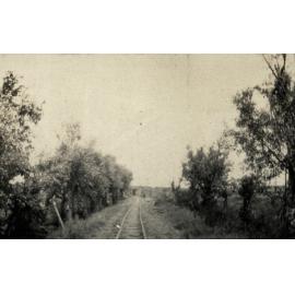 Photo from page 07 of album WWI Photograph Album  - Western Front