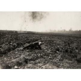 Photo from page 30 of album WWI Photograph Album  - Western Front