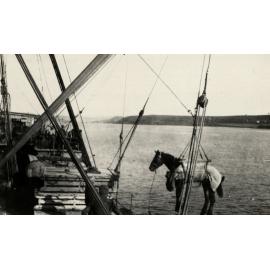 Photo from page 28 of album WWI Photograph Album  - Egypt & Gallipoli