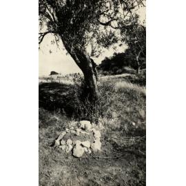 Photo from page 32 of album WWI Photograph Album  - Egypt & Gallipoli