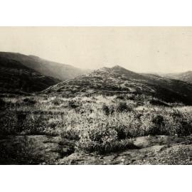 Photo from page 33 of album WWI Photograph Album  - Egypt & Gallipoli