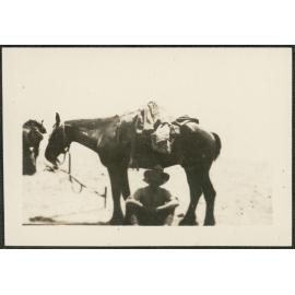 WWI Photograph Album - Egypt & Gallipoli [loose photo]