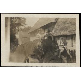 WWI Photograph Album - Egypt & Gallipoli [loose photo]