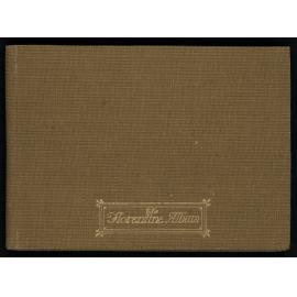 WWI Photograph Album - Gallipoli, Sinai & Palestine