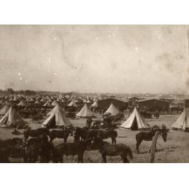 Photo from page 04 of album WWI Photograph Album  - Sinai & Palestine