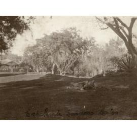 Photo from page 05 of album WWI Photograph Album  - Sinai & Palestine