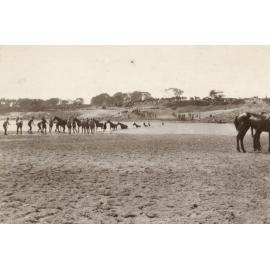 Photo from page 06 of album WWI Photograph Album  - Sinai & Palestine
