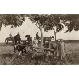 Photo from page 07 of album WWI Photograph Album  - Sinai & Palestine