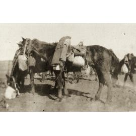 Photo from page 09 of album WWI Photograph Album  - Sinai & Palestine