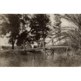 Photo from page 09 of album WWI Photograph Album  - Sinai & Palestine