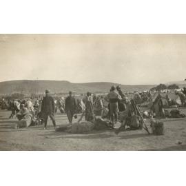 Photo from page 09 of album WWI Photograph Album  - Sinai & Palestine