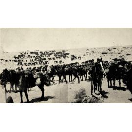Photo from page 09 of album WWI Photograph Album  - Sinai & Palestine