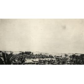 Photo from page 10 of album WWI Photograph Album  - Sinai & Palestine