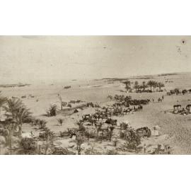 Photo from page 13 of album WWI Photograph Album  - Sinai & Palestine