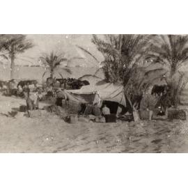Photo from page 13 of album WWI Photograph Album  - Sinai & Palestine