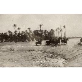 Photo from page 13 of album WWI Photograph Album  - Sinai & Palestine