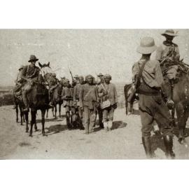 Photo from page 13 of album WWI Photograph Album  - Sinai & Palestine