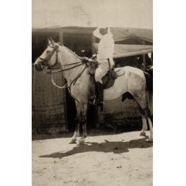 Photo from page 14 of album WWI Photograph Album  - Sinai & Palestine