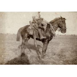 Photo from page 14 of album WWI Photograph Album  - Sinai & Palestine