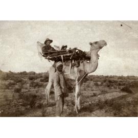 Photo from page 14 of album WWI Photograph Album  - Sinai & Palestine