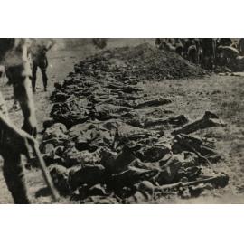 Photo from page 16 of album WWI Photograph Album  - Sinai & Palestine