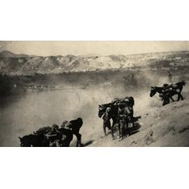 Photo from page 26 of album WWI Photograph Album  - Sinai & Palestine