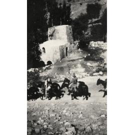 Photo from page 26 of album WWI Photograph Album  - Sinai & Palestine