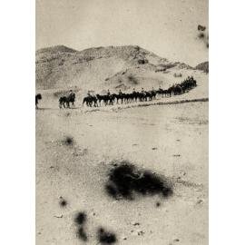 Photo from page 27 of album WWI Photograph Album  - Sinai & Palestine