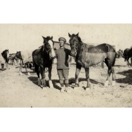Photo from page 05 of album WWI Photograph Album  - Gallipoli and Sinai & Palestine