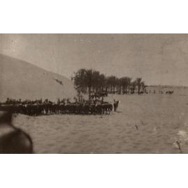 Photo from page 11 of album WWI Photograph Album  - Gallipoli and Sinai & Palestine