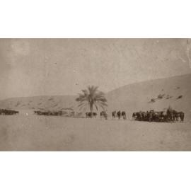 Photo from page 11 of album WWI Photograph Album  - Gallipoli and Sinai & Palestine
