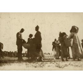 Photo from page 15 of album WWI Photograph Album  - Gallipoli and Sinai & Palestine