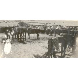 Photo from page 15 of album WWI Photograph Album  - Gallipoli and Sinai & Palestine