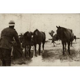 Photo from page 16 of album WWI Photograph Album  - Gallipoli and Sinai & Palestine