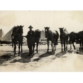 Photo from page 16 of album WWI Photograph Album  - Gallipoli and Sinai & Palestine