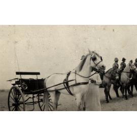 Photo from page 17 of album WWI Photograph Album  - Gallipoli and Sinai & Palestine