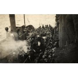 Photo from page 02 of album WWI Photograph Album  - Gallipoli