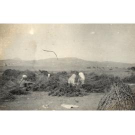 Photo from page 08 of album WWI Photograph Album  - Gallipoli