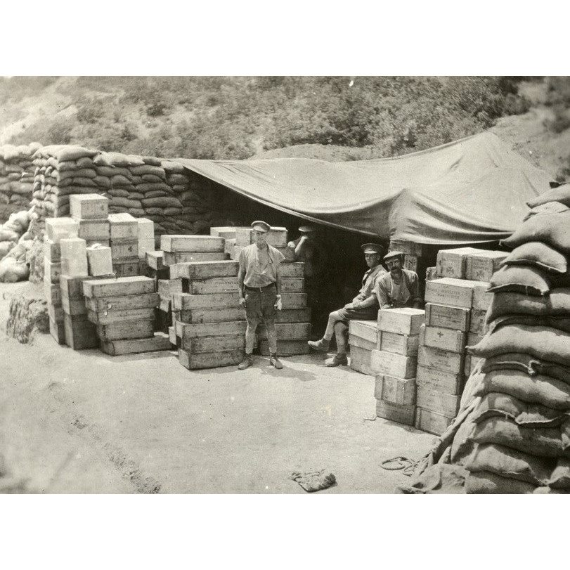 1915:10 Reinforcements