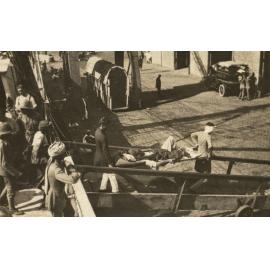 Photo from page 07 of album WWI Photograph Album - Medical Staff & Nurses: Egypt and England