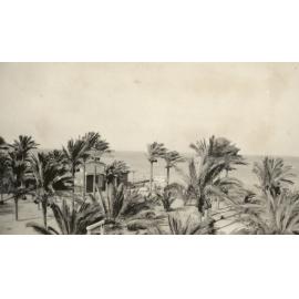 Photo from page 16 of album WWI Photograph Album - Medical Staff & Nurses: Egypt and England