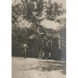 Photo from page 18 of album WWI Photograph Album - Medical Staff & Nurses: Egypt and England