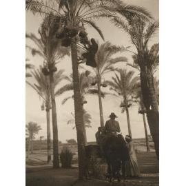 Photo from page 18 of album WWI Photograph Album - Medical Staff & Nurses: Egypt and England