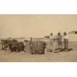 Photo from page 21 of album WWI Photograph Album - Medical Staff & Nurses: Egypt and England