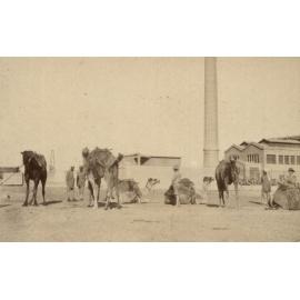 Photo from page 21 of album WWI Photograph Album - Medical Staff & Nurses: Egypt and England