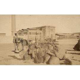 Photo from page 21 of album WWI Photograph Album - Medical Staff & Nurses: Egypt and England