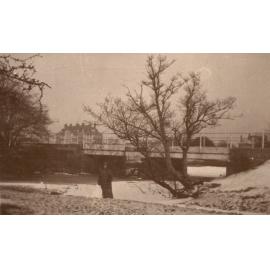 Photo from page 34 of album WWI Photograph Album - Medical Staff & Nurses: Egypt and England