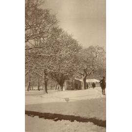 Photo from page 36 of album WWI Photograph Album - Medical Staff & Nurses: Egypt and England